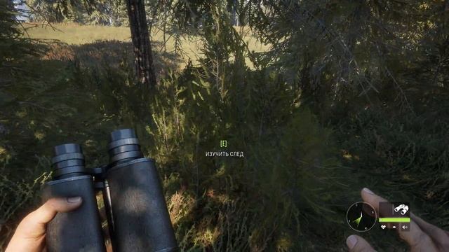 Это Симулятор Природы! - TheHunter Call Of The Wild