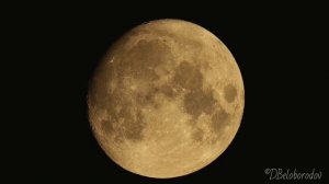 Полнолуние