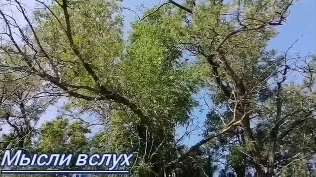 Севка Ад сами в этом виноваты. Останется без ноги поедет к Эдику. Сколько упреков Севке??♀ смотреть онлайн