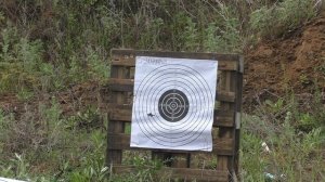 Подбираем идеальную пулю к МР 155