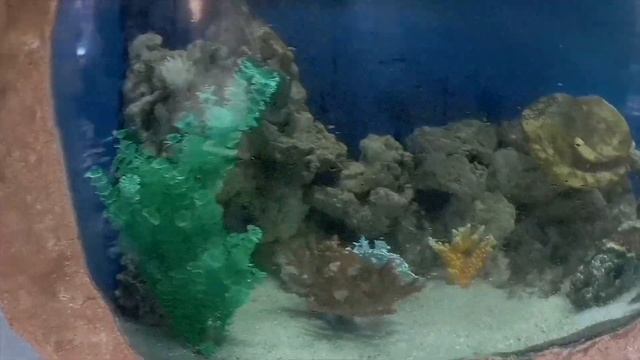 Overview of Aquaworld Budapest смотреть онлайн