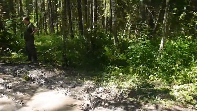 Брод через лесной ручей