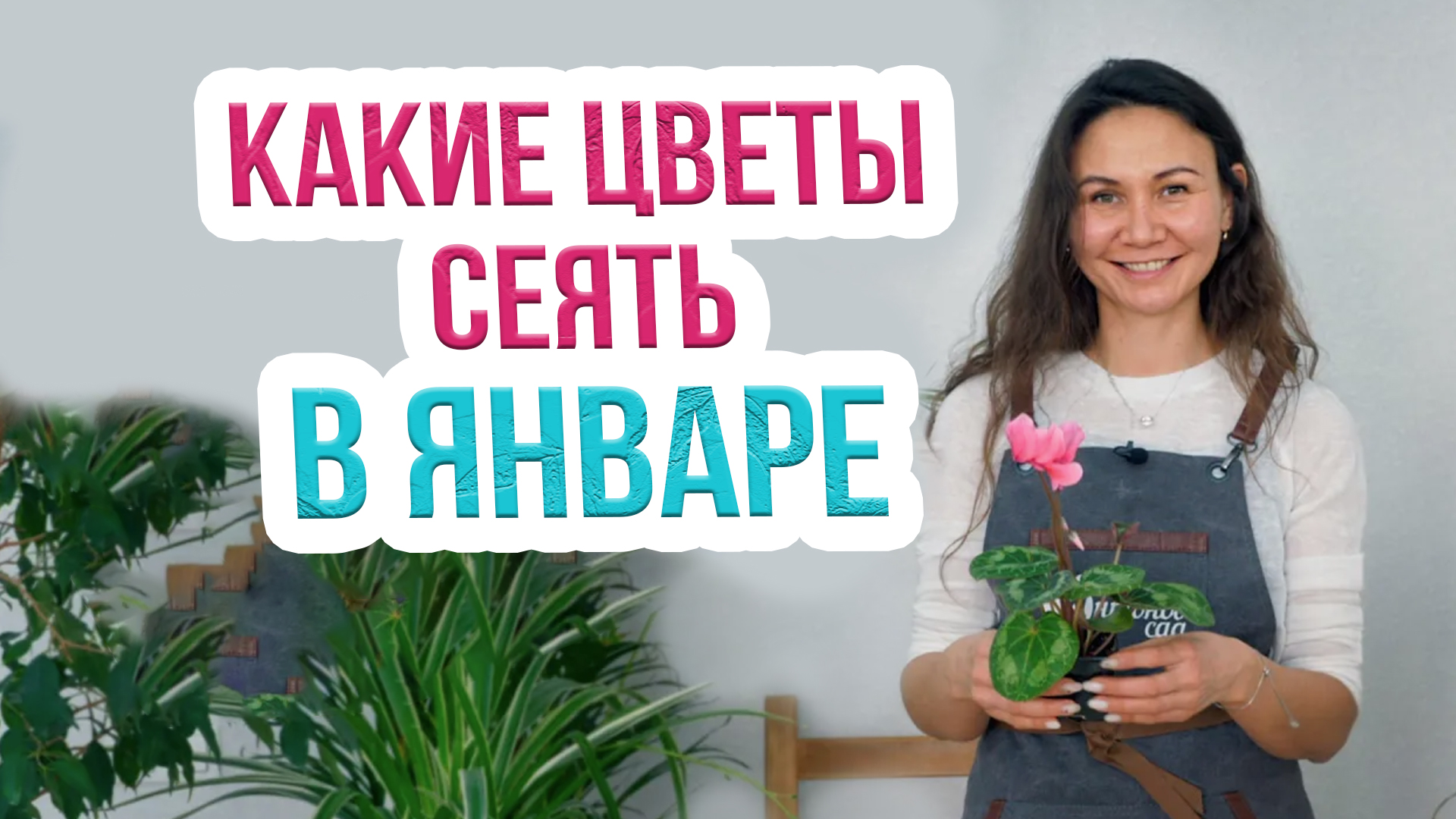 Какие цветы посадить в январе. Что посеять в январе? смотреть онлайн