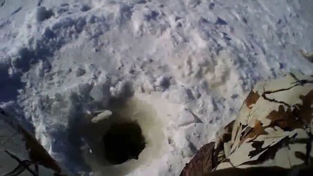 Балда(Ведьма) против мух.2часть.Нежданный улов.... смотреть онлайн