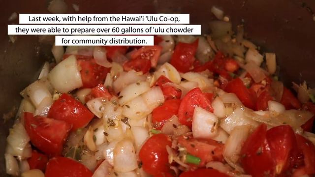 Breadfruit Chowder made by The Village Hui as part of a community feeding program during Covid. смотреть онлайн