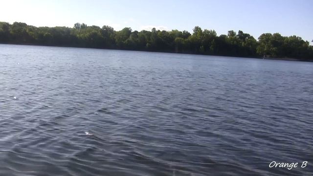 ЛОВЛЯ МАХОВОЙ УДОЧКОЙ в конце июня. смотреть онлайн