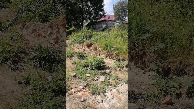 Щигры .улица Комсомольская . Жасмин. смотреть онлайн