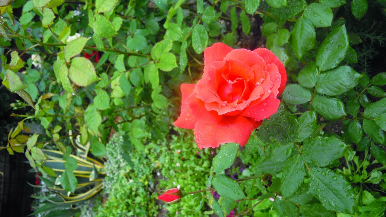 Готовься к лету смотреть онлайн