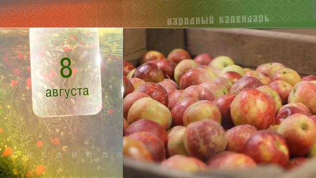 8 Августа - Ежедневный Народный Календарь смотреть онлайн