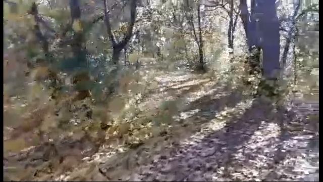 ОСЕННЕЕ ТАНГО смотреть онлайн