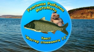 Квест «Мастер спиннинга 11» [NEW] | Реальная Рыбалка