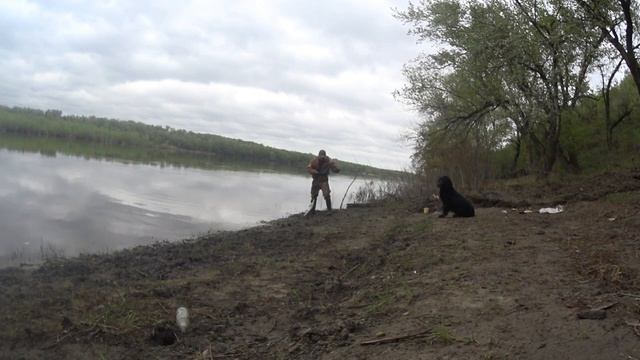 Рыбалка на резинку на реке Дон 2023! Ловля сазана и карася смотреть онлайн