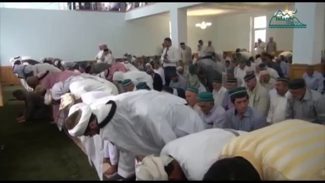 Чиркей смотреть онлайн