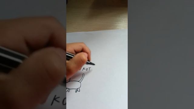 Кот желаний правда или миф смотреть онлайн