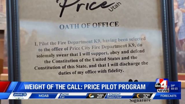 Weight of the Call: Price Pilot Program смотреть онлайн