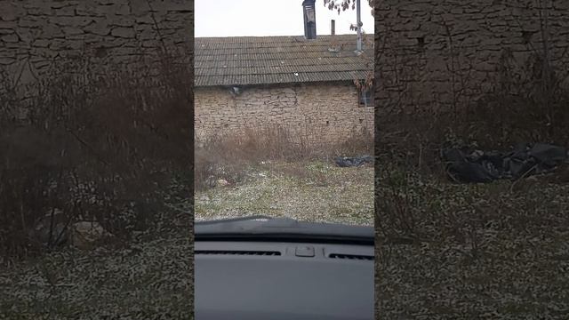 Дуб молдавского царя Штефана Великого и церковь в которой он венчался со своей женой Маричикой смотреть онлайн