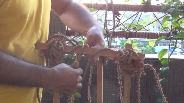 BEAUTIFUL Clematis - KNOW How To Grow, Care n SUPPORT смотреть онлайн