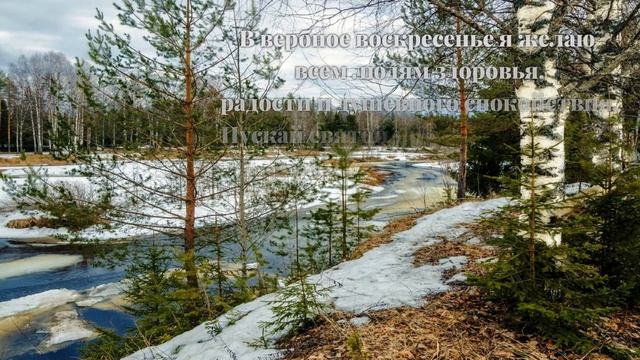 С Вербным Воскресеньем смотреть онлайн