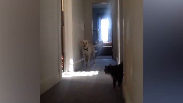  смотреть онлайн