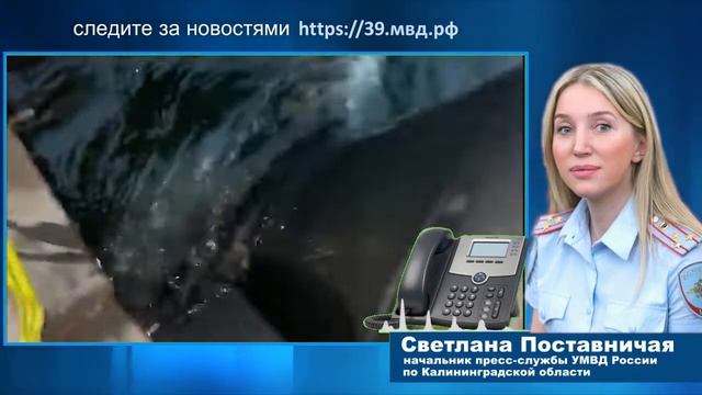 В акватории Балтийского моря полицейские пресекли незаконную добычу янтаря смотреть онлайн