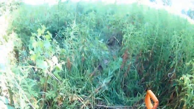 Его око видит всё. Находки с металлодетектором тх-850.Новое место.Усадьба на урочище. смотреть онлайн