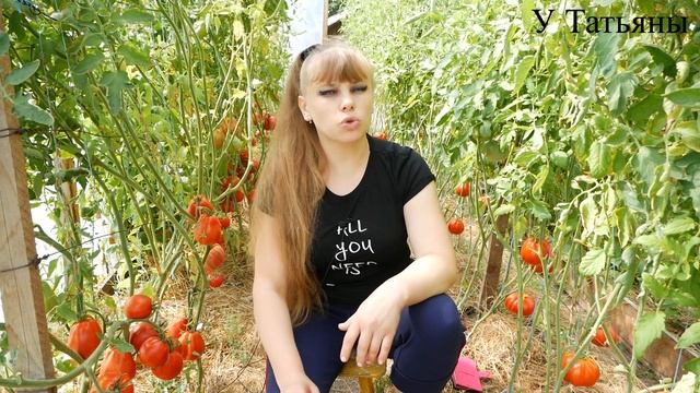 Зачем ЭТО средство ТОМАТАМ в ИЮЛЕ и АВГУСТЕ? смотреть онлайн