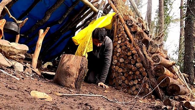 7 Days SOLO CAMPING In HEAVY RAIN, THUNDER - Building Warm BUSHCRAFT SHELTER - SURVIVAL Skills смотреть онлайн