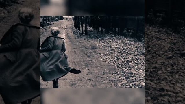 Андрей Дементьев "Никогда ни о чем не жалейте.." смотреть онлайн