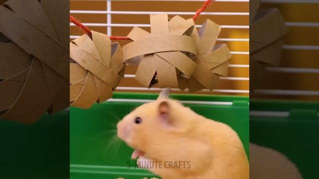 CAT VS. ME | Our Family Is Amazed With These Cute And Smart Pet Gadgets смотреть онлайн