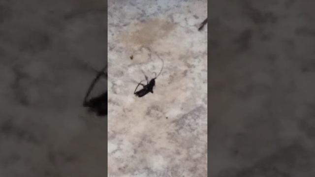 Танцы Модерн... смотреть онлайн