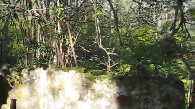 Родники горного Крыма 45 012378 смотреть онлайн