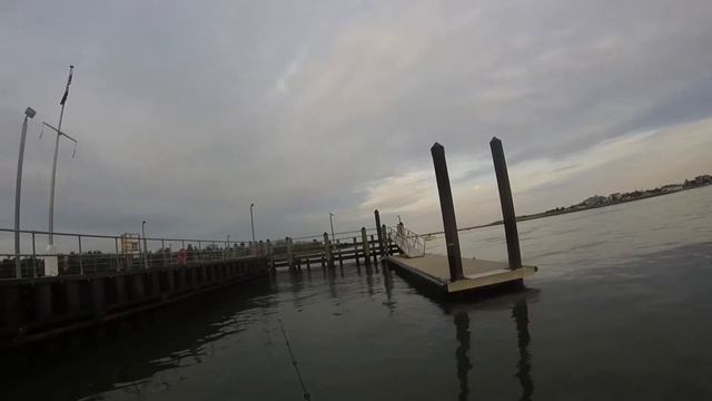 Stripper Fishing Delaware! Does Gulp alive spray really Work? смотреть онлайн