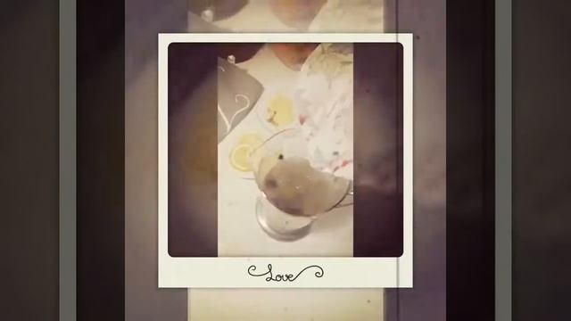 Фруктовый чай / видео рецепт смотреть онлайн