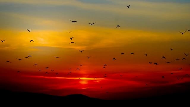 Придя на кладбище проведать могилу жены, Иван замер, увидев там незнакомого мужчину с букетом роз.. смотреть онлайн