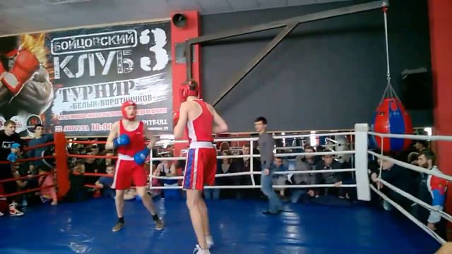 Спарринг Питбуль 27.02.16 егор смотреть онлайн