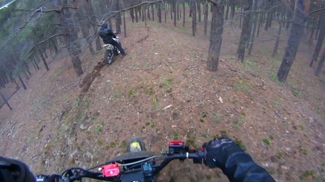 ПРОФИ ПОКАЗЫВАЕТ КАК НАДО | Питбайк против взрослых мотоциклов [#12] смотреть онлайн