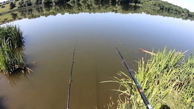 ЛОВЛЯ КАРПА И КАРАСЯ на пружину!!! Как поймать на пружину, засос? Рыбалка на озере! Fishing! смотреть онлайн