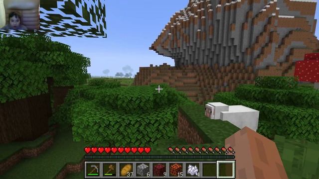 Minecraft Тестируем разные версии/Testing different versions смотреть онлайн