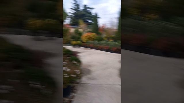 Питомник Зеленый город часть 2 смотреть онлайн