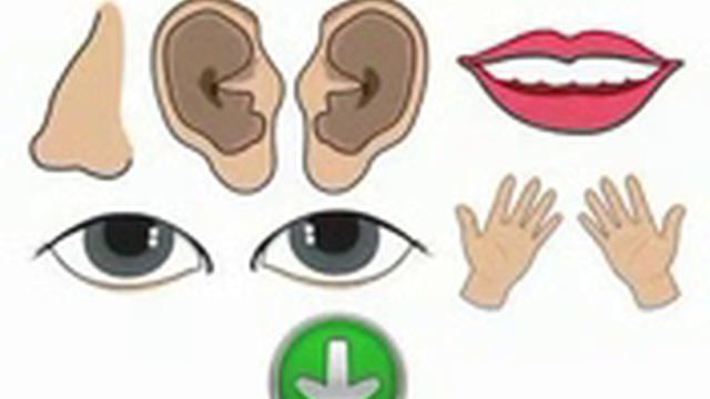 Free and easy lessons for learning Norwegian -- lesson fifty eight -- parts of the body смотреть онлайн