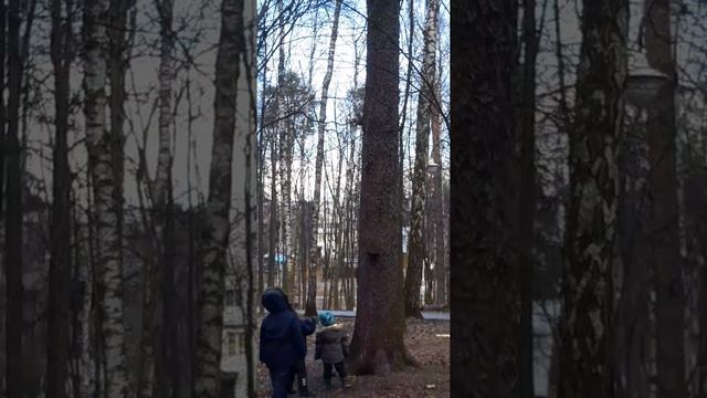 Парк томилино 2020(2) смотреть онлайн