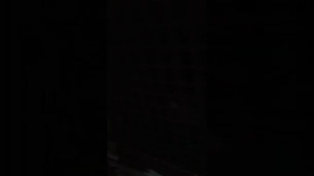 Мои кролики. Ч1 ночью. :) смотреть онлайн