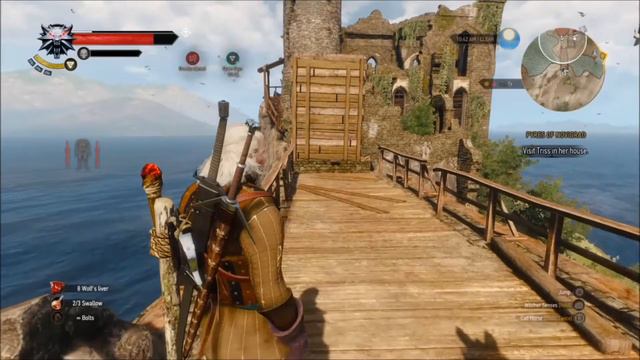 The Death of a Witcher - FAIL Compilation [The Witcher 3] смотреть онлайн