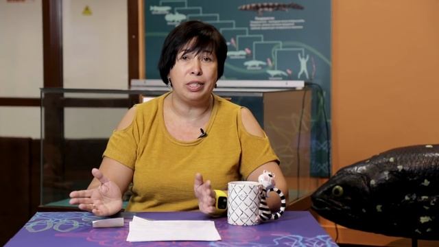 УТКОНОС: новые открытия. Наталья уткоНосова