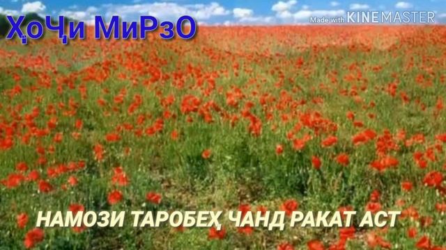 ҲОҶИ МИРЗО НАМОЗИ ТАРОБЕҲ ЧАНД РАКАТ АСТ