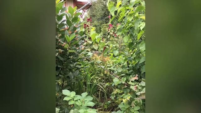 Любовь моя, Земля моя... смотреть онлайн