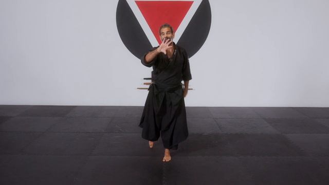 Aikido Drills | Gyaku Mae Ukemi Tenkan смотреть онлайн