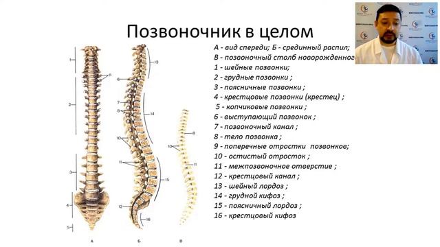 Тренировки для стройного и здорового тела без стресса и перегрузок