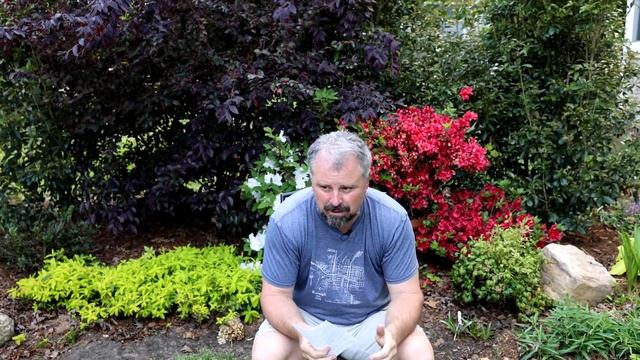 Garden Q and A - Dahlias, Pruning Damaged Plants, Sunshine Ligustrum, Bad Compost смотреть онлайн