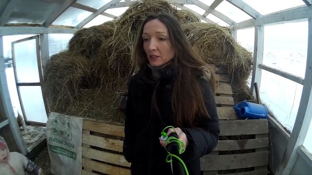 Наши охотничьи фазаны/Выводы о содержании спустя 6 месяцев. смотреть онлайн